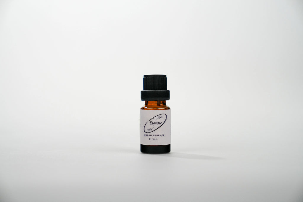 Esquiste Pudra Esansı – 10ml